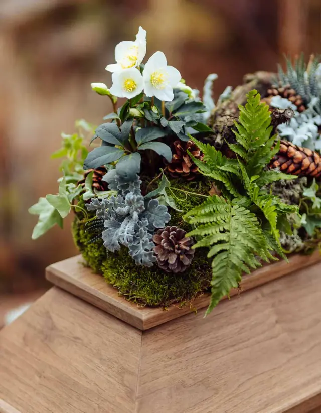 Gesteck aus Christrosen, Farn, Moos und Zapfen auf einem Holzsarg